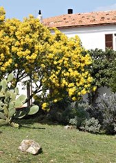Agriturismo a Scansano in Maremma